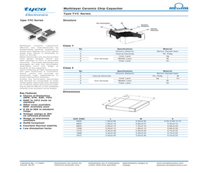 TYC0402A101JHT (2-1676852-9).pdf