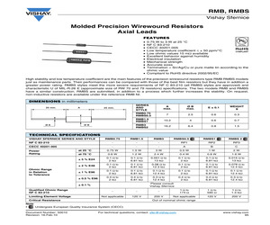 RMB30021000DS09.pdf