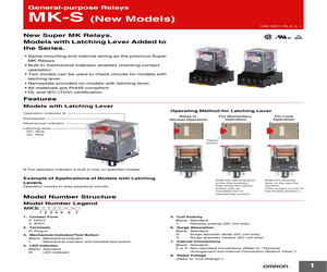 MKS2PI-V-AC12.pdf