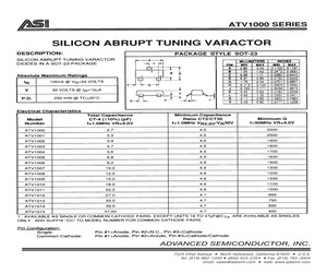 ATV1000CC.pdf