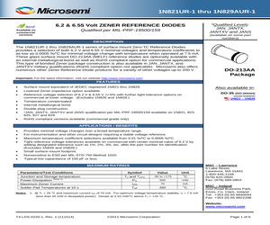 1N821AUR-1-1%E3.pdf