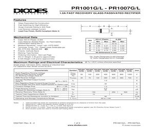 PR1001G-B.pdf