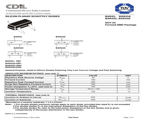 BAR43S.pdf