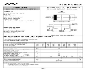 RS1G.pdf