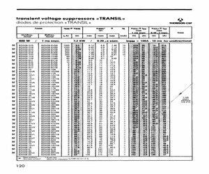 BZW06-5V8.pdf