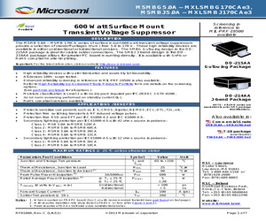 MSMBJ10CA.pdf