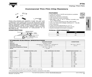 PTN0603K1010DGTF.pdf