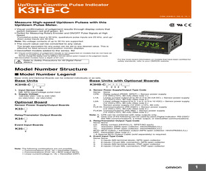 K3HB-CNB 24VAC/VDC.pdf