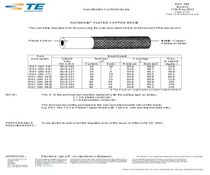 RAY-103-4.0(100).pdf