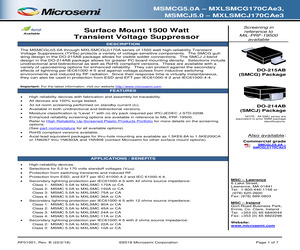 MSMCJ45CA.pdf