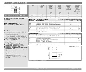 BAV103.pdf