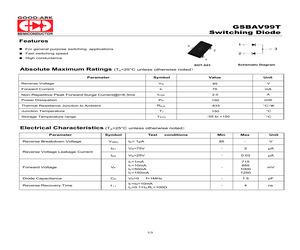 GSBAV99T.pdf