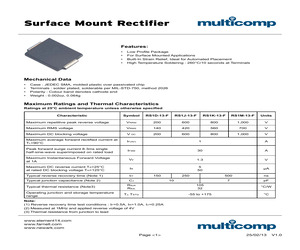 RS1J-13-F.pdf