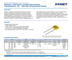 HX5008NLST.pdf