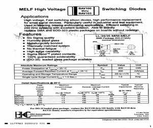 BAV101.pdf