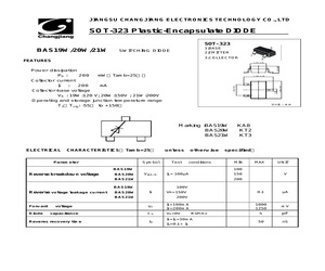 BAS19W-21W.pdf