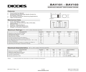 BAV101-7.pdf