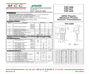 TIP101-BP.pdf