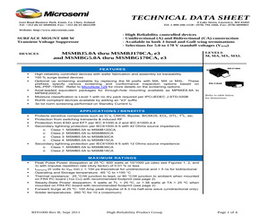 MASMBJ100CAE3TR.pdf