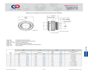 AE83375G18141.pdf