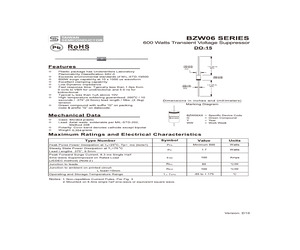 BZW06-33 R0.pdf