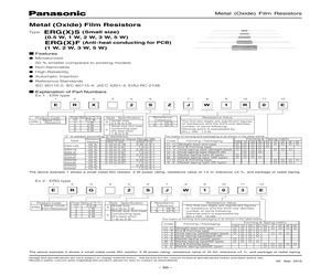 ERG5SJ300P.pdf