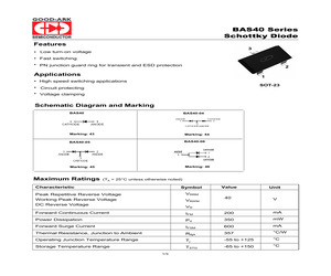 BAS40-05.pdf