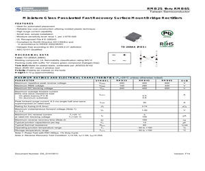 RMB6S RCG.pdf