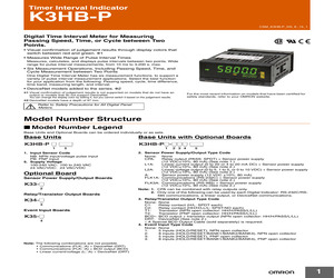 K3HB-PPB 24VAC/VDC.pdf