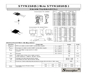 STYN210S.pdf