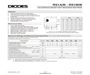 RS1JB-7.pdf