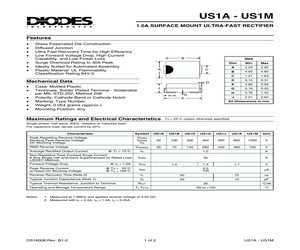 US1M.pdf