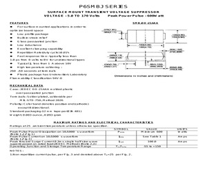 P6SMBJ110A.pdf