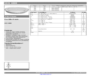 SKN4000/06.pdf