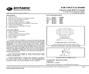 DIM75HST12-B000.pdf