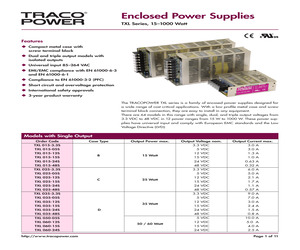 TXL100-0524DI.pdf