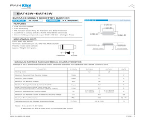 BAT42WT/R13.pdf