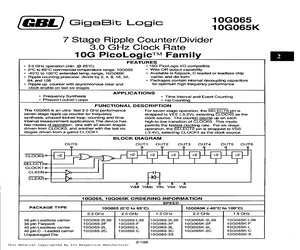 10G065K-2L36.pdf