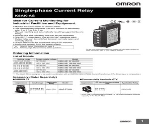 K8AK AS3 100-240VAC.pdf