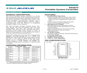 DS1673E-5+T&R.pdf