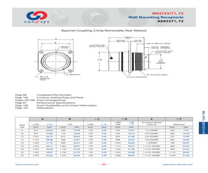 M83723/72W2212N.pdf