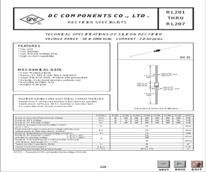 RL207.pdf